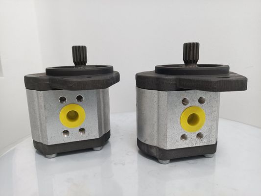 Durable 2 HP Hydraulic Gear Pump with 20 MPa Maximum Pressure and Diesel Oil Compatibility for Heavy Machinery